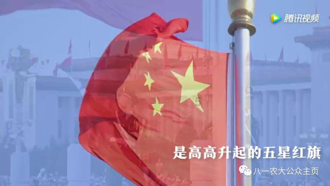 高清无水印割肥皂解压视频哪里有?哪里有大量的高清无水印减压视频素材?